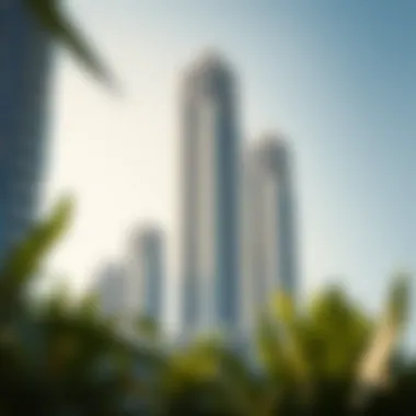 Magnificent An In-Depth Exploration of Reem Island Towers Magnificent An In-Depth Exploration of Reem Island Towers