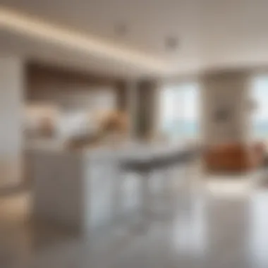 Contemporary Kitchen Features in Beach Isle Tower One Modern kitchen design detail in Beach Isle Tower One