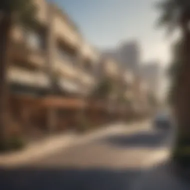 Local Amenities in Al Nahda Local amenities in Al Nahda area, including parks and shops