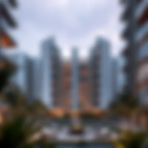 Exploring 1 BHK Rentals in Dubai South Introduction
