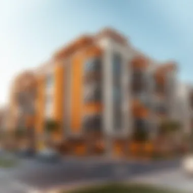 Notable Exploring 1BHK Apartment Options in Al Quoz