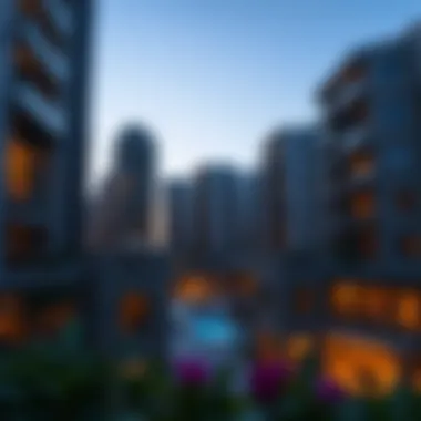 Exploring 1BHK Rental Options in Dubai Summary
