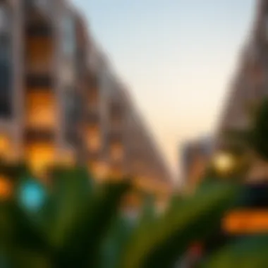 Exploring Hamriya: A Distinctive Dubai Neighborhood Summary