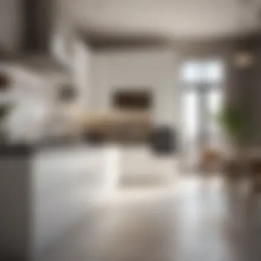 Stylish Kitchen in Mesk Deyaars Stylish kitchen featuring modern appliances in Mesk Deyaars