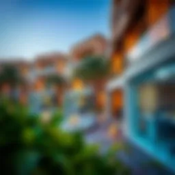 Exploring Partition Rentals in Discovery Gardens: A Comprehensive Guide Introduction