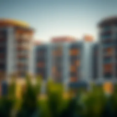 Exploring Rashidiya Studios for Rent: A Comprehensive Insight Summary Exploring Rashidiya Studios for Rent: A Comprehensive Insight Summary