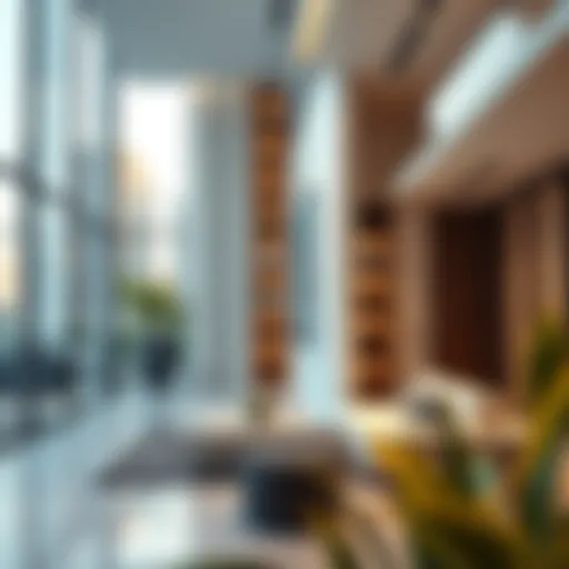 Exploring Studio Flats in International City Phase 2 Introduction
