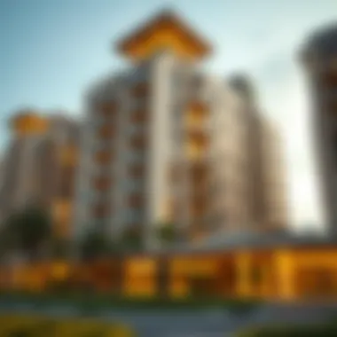 Exploring the 1 BHK Rental Landscape in Abu Shagara: A No-Commission Guide Summary Exploring the 1 BHK Rental Landscape in Abu Shagara: A No-Commission Guide Summary