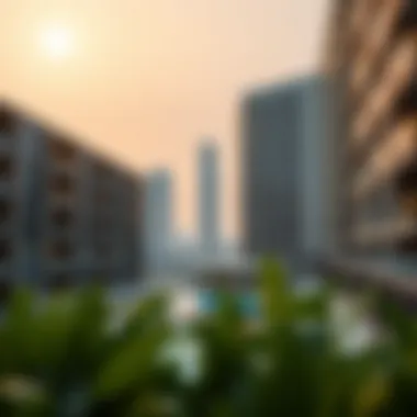Exploring the Burjuman Spinneys: A Comprehensive Guide Summary Exploring the Burjuman Spinneys: A Comprehensive Guide Summary
