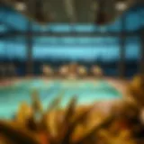 Exploring the Gym Scene in Discovery Gardens: A Comprehensive Overview Introduction