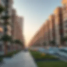 Implications of Postponed Building Projects in Al Barsha 1 Introduction