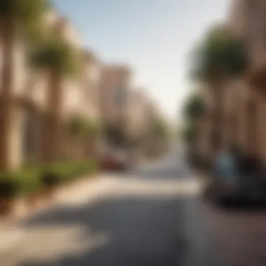 A cozy neighborhood street in Dubai with studio flats